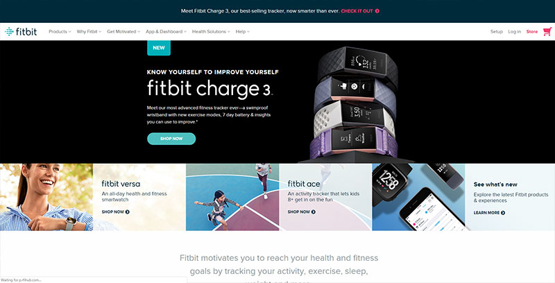 fitbit workout app and device